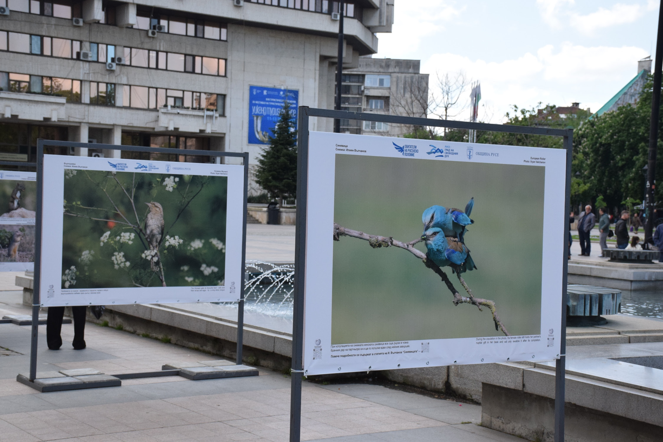 Поглед към дивата природа в изложбата „Обитатели на Русенско Поломие“